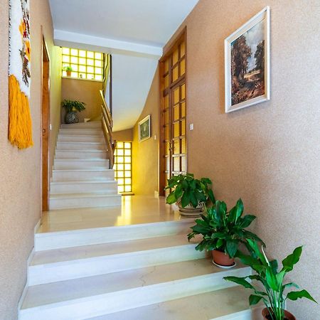 Apartments Villa Ivka Dubrovnik Eksteriør bilde